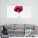 ポスター ウォールステッカー ポステッカー パノラマサイズ ポスターステッカー シール式ステッカー 飾り 1152mm×576mm 写真 フォト 壁 インテリア...