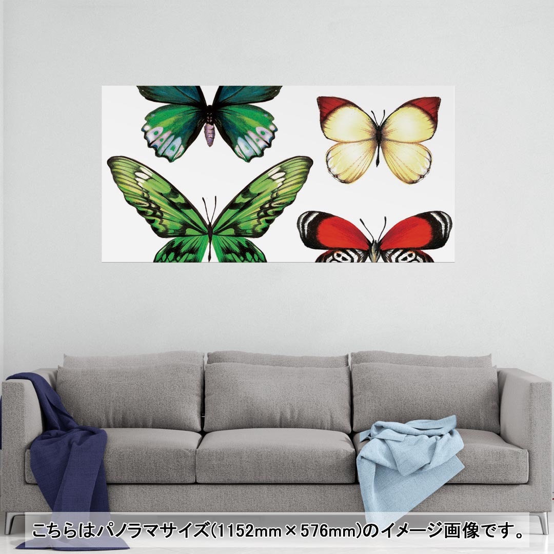 ポスター ウォールステッカー ポステッカー パノラマサイズ ポスターステッカー シール式ステッカー 飾り 1152mm×576mm 写真 フォト 壁 インテリア おしゃれ 剥がせる wall sticker poster 014427 蝶　カラフル