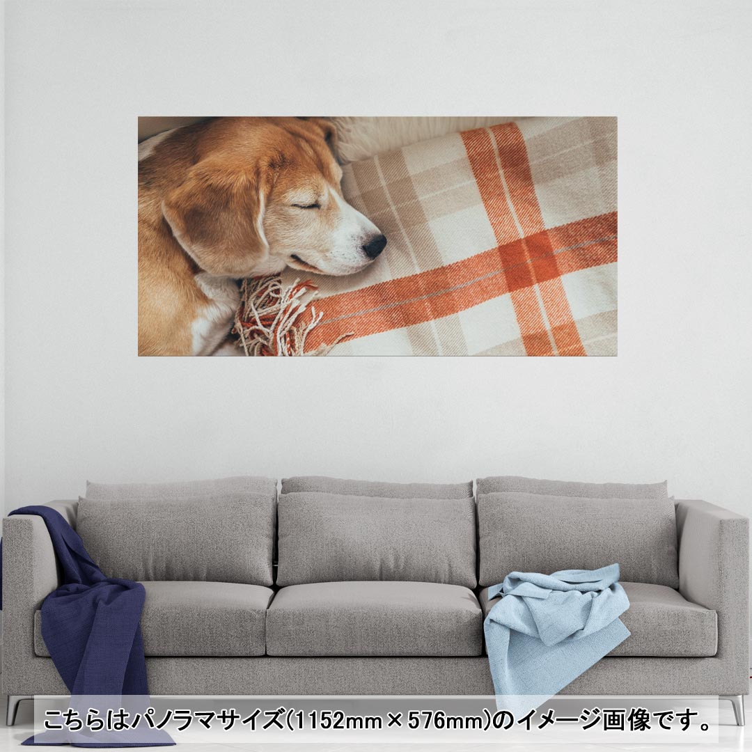 ポスター ウォールステッカー ポステッカー パノラマサイズ ポスターステッカー シール式ステッカー 飾り 1152mm×576mm 写真 フォト 壁 インテリア おしゃれ 剥がせる wall sticker poster 014838 犬　昼寝
