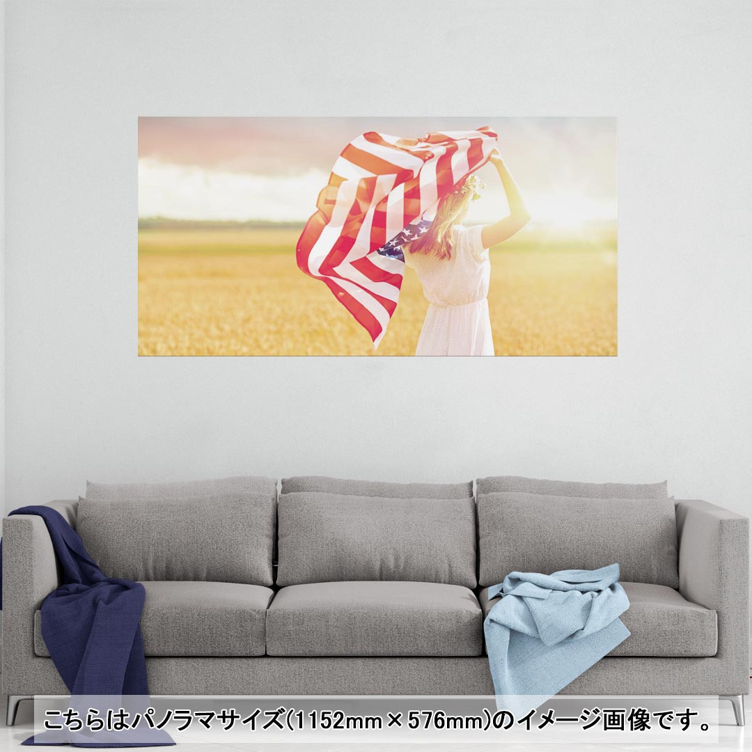 ポスター ウォールステッカー ポステッカー パノラマサイズ ポスターステッカー シール式ステッカー 飾り 1152mm×576mm 写真 フォト 壁 インテリア おしゃれ 剥がせる wall sticker poster 014933 女の子　自然　アメリカ　国旗