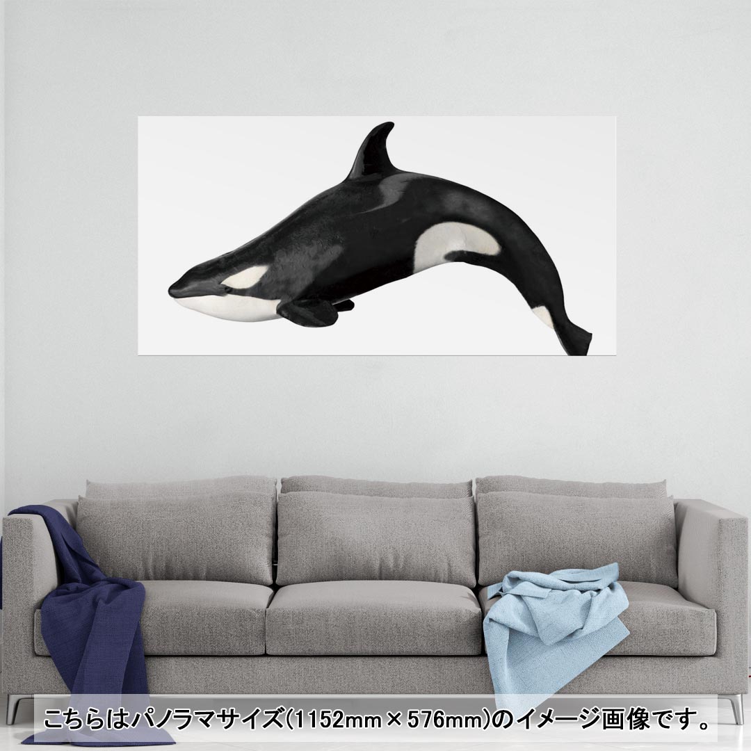 ポスター ウォールステッカー ポステッカー パノラマサイズ ポスターステッカー シール式ステッカー 飾り 1152mm×576mm 写真 フォト 壁 インテリア おしゃれ 剥がせる wall sticker poster 015849 海　シャチ　黒