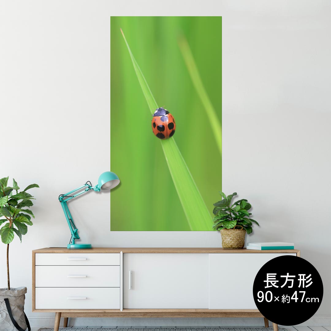 ポスター ウォールステッカー シール式ステッカー 飾り 60×60cm Msize 正方形 壁 インテリア おしゃれ　剥がせる wall sticker poster同じデザインの各サイズへはこちらから ▼　▼　▼　▼　▼&nbsp; &nbsp; &nbsp;