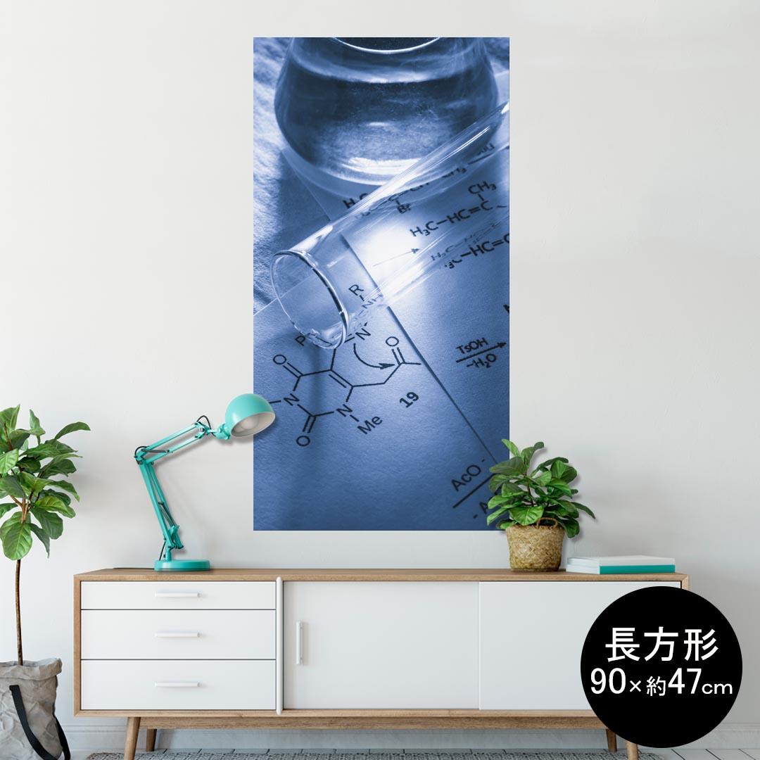 ポスター ウォールステッカー 長方形 シール式ステッカー 飾り 90×47cm Lsize 長方形 壁 インテリア おしゃれ 剥がせる wall sticker poster 006148 科学 写真