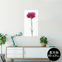 ポスター ウォールステッカー 長方形 シール式ステッカー 飾り 60×31cm Msize 壁 インテリア おしゃれ 剥がせる wall sticker pos...