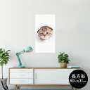 |X^[ EH[XebJ[ ` V[XebJ[  60~31cm Msize  CeA @ wall sticker poster 013568 L@ʐ^@qL