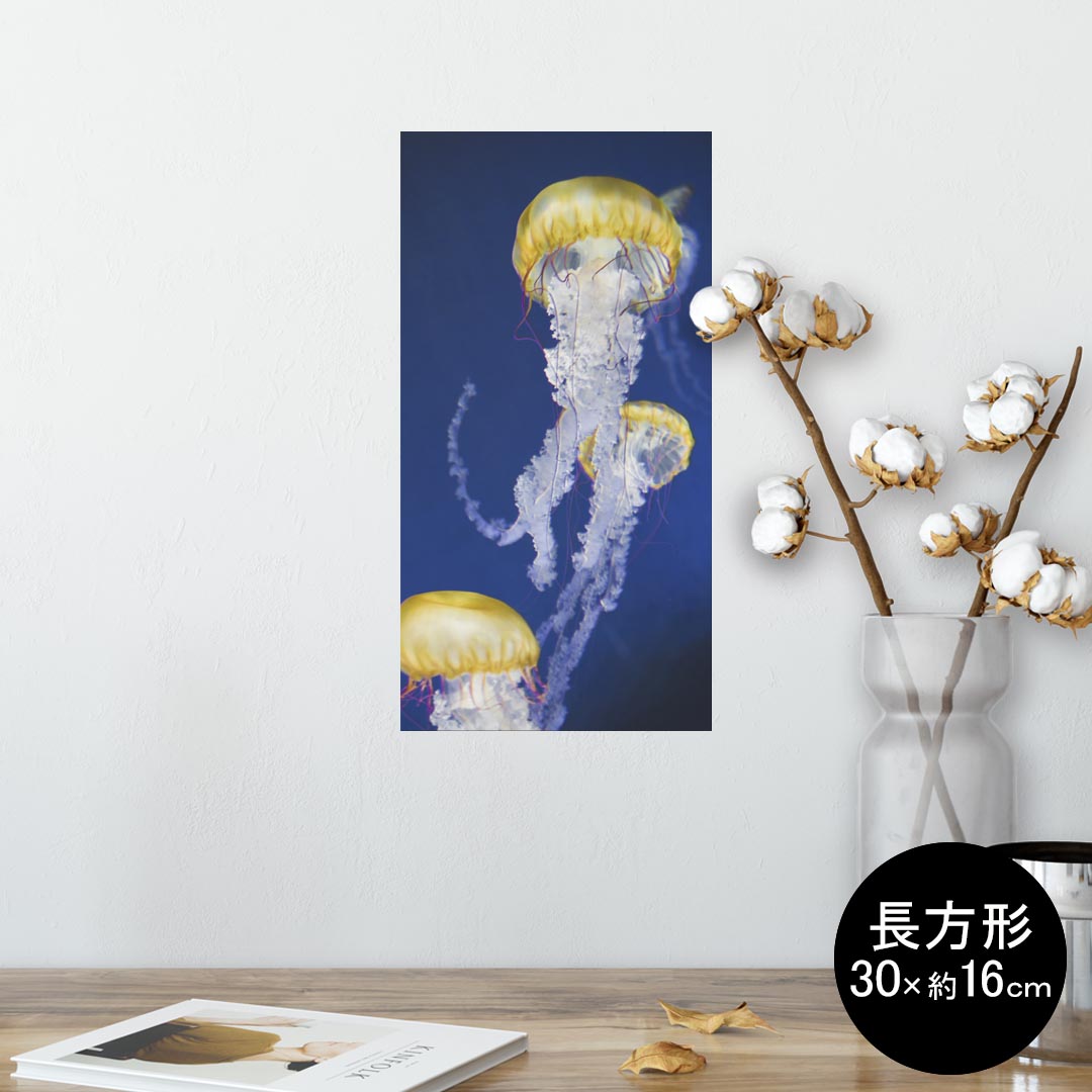 ポスター ウォールステッカー 長方形 シール式ステッカー 飾り 30×16cm Ssize 壁 インテリア おしゃれ　剥がせる wall sticker poster 003306 くらげ　海　写真