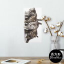 |X^[ EH[XebJ[ ` V[XebJ[  30~16cm Ssize  CeA @ wall sticker poster 005928 ʐ^@@L@˂