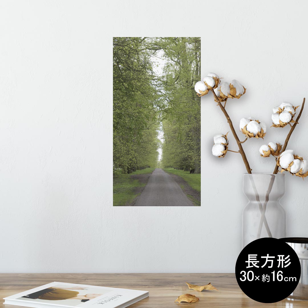 ポスター ウォールステッカー 長方形 シール式ステッカー 飾り 30×16cm Ssize 壁 インテリア おしゃれ　剥がせる wall sticker poster 006601 写真　森　植物