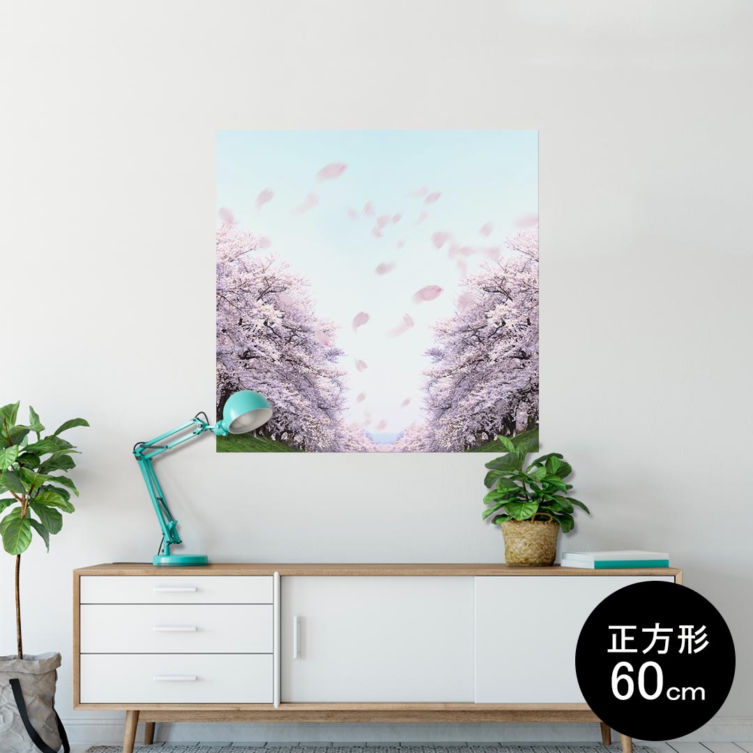 ポスター ウォールステッカー シール式ステッカー 飾り 90×90cm Lsize 正方形 壁 インテリア おしゃれ　剥がせる wall sticker poster 000123 桜　花道　春
