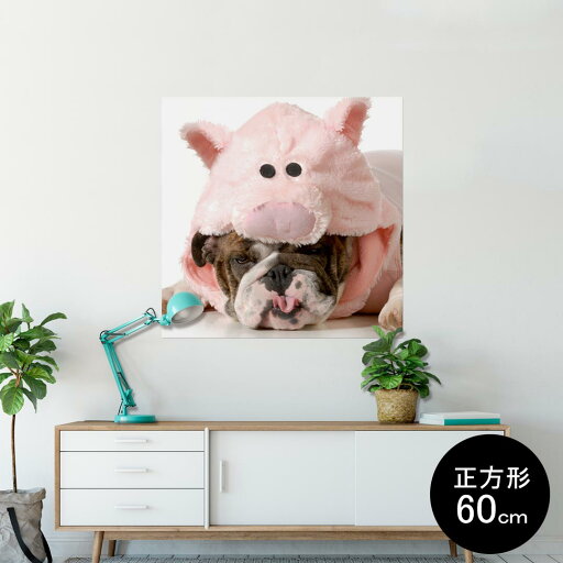 ポスター ウォールステッカー シール式ステッカー 飾り 90×90cm Lsize 正方形 壁 インテリア おしゃれ 剥がせる wall sticker poster 001228 犬 ブタ 動物 ポスター ウォールステッカー シール式ステッカー 飾り 90×90cm Lsize 正方形 壁 インテリア おしゃれ 剥がせる wall sticker poster 001228 犬 ブタ 動物