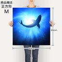 ポスター ウォールステッカー シール式ステッカー 飾り 90×90cm Lsize 正方形 壁 インテリア おしゃれ　剥がせる wall sticker poster 012652 魚　くじら　海 3