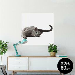 ポスター ウォールステッカー シール式ステッカー 飾り 90×90cm Lsize 正方形 壁 インテリア おしゃれ　剥がせる wall sticker poster 005907 アニマル 写真　動物　猫　ねこ