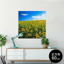 ポスター ウォールステッカー シール式ステッカー 飾り 60×60cm Msize 正方形 壁 インテリア おしゃれ 剥がせる wall sticker poster 007936 写真 花 向日葵 ひまわり