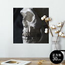 |X^[ EH[XebJ[ V[XebJ[  30~30cm Ssize `  CeA @ wall sticker poster 000010 @