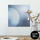 |X^[ EH[XebJ[ V[XebJ[  30~30cm Ssize `  CeA @ wall sticker poster 001779 Vv@͗l@