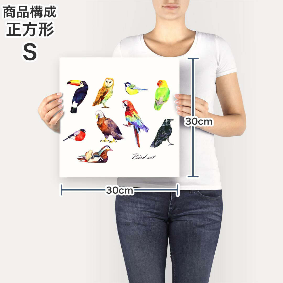 ポスター ウォールステッカー シール式ステッカー 飾り 30×30cm Ssize 正方形 壁 インテリア おしゃれ　剥がせる wall sticker poster 014764 鳥　カラフル　bard 3