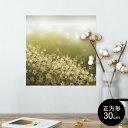 |X^[ EH[XebJ[ V[XebJ[  30~30cm Ssize `  CeA @ wall sticker poster 002181 @S[h@