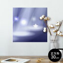 |X^[ EH[XebJ[ V[XebJ[  30~30cm Ssize `  CeA @ wall sticker poster 002286 Vv@