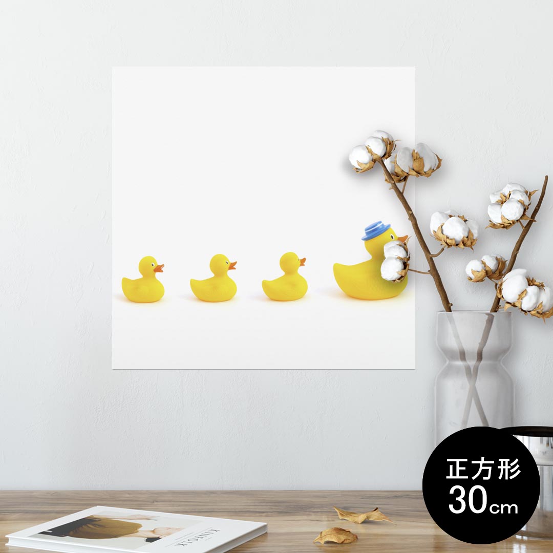 ポスター ウォールステッカー シール式ステッカー 飾り 30×30cm Ssize 正方形 壁 インテリア おしゃれ　剥がせる wall sticker poster 002751 鳥　アヒル　動物