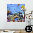 |X^[ EH[XebJ[ V[XebJ[  30~30cm Ssize `  CeA @ wall sticker poster 002823 C@ʐ^@Jt