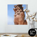 ポスター ウォールステッカー シール式ステッカー 飾り 30×30cm Ssize 正方形 壁 インテリア おしゃれ 剥がせる wall sticker poster 004542 シーサー 沖縄 写真