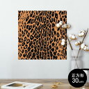 |X^[ EH[XebJ[ V[XebJ[  30~30cm Ssize `  CeA @ wall sticker poster 005077 qE@IW@