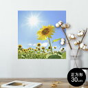 ポスター ウォールステッカー シール式ステッカー 飾り 30×30cm Ssize 正方形 壁 インテリア おしゃれ 剥がせる wall sticker poster 005089 ひまわり 写真 太陽