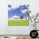 ポスター ウォールステッカー シール式ステッカー 飾り 30×30cm Ssize 正方形 壁 インテリア おしゃれ 剥がせる wall sticker poster 005883 写真 空 草原|詳細画像