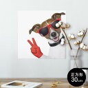 |X^[ EH[XebJ[ V[XebJ[  30~30cm Ssize `  CeA @ wall sticker poster 006760 ʐ^@@