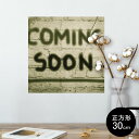 |X^[ EH[XebJ[ V[XebJ[  30~30cm Ssize `  CeA @ wall sticker poster 006913 @p