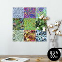 |X^[ EH[XebJ[ V[XebJ[  30~30cm Ssize `  CeA @ wall sticker poster 008621 Jt@͗l