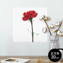 ポスター ウォールステッカー シール式ステッカー 飾り 30×30cm Ssize 正方形 壁 インテリア おしゃれ 剥がせる wall sticker pos...