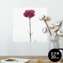 ポスター ウォールステッカー シール式ステッカー 飾り 30×30cm Ssize 正方形 壁 インテリア おしゃれ 剥がせる wall sticker pos...