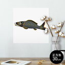 ポスター ウォールステッカー シール式ステッカー 飾り 30×30cm Ssize 正方形 壁 インテリア おしゃれ 剥がせる wall sticker pos...