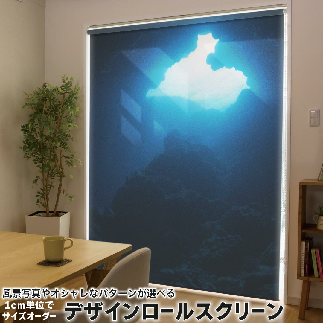 1cm単位サイズオーダー ロールスクリーン ロールカーテン オーダーメイド タチカワ 日本製 間仕切り カーテン 採光 非遮光 目隠し UVカット カーテンレール チェーン式 プル式 000068 ユニーク ハート 夜空 海