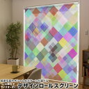 1cm単位サイズオーダー ロールスクリーン ロールカーテン オーダーメイド タチカワ 日本製 間仕切り カーテン 採光 非遮光 目隠し UVカット カーテンレー...