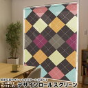 1cm単位サイズオーダー ロールスクリーン ロールカーテン オーダーメイド タチカワ 日本製 間仕切り カーテン 採光 非遮光 目隠し UVカット カーテンレー...