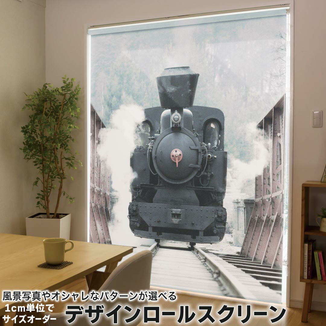 1cm単位サイズオーダー ロールスクリーン ロールカーテン オーダーメイド タチカワ 日本製 間仕切り カ..