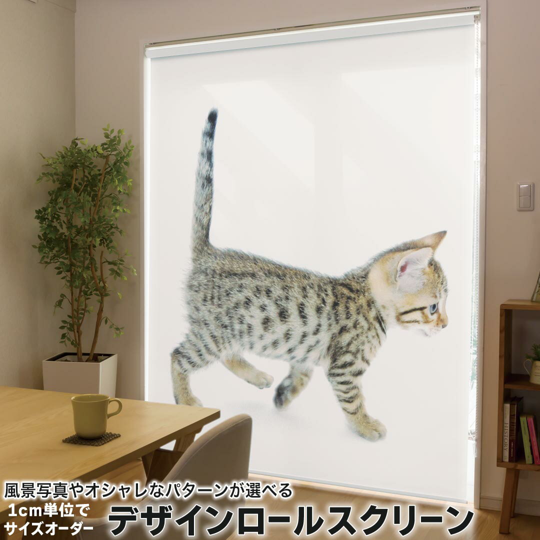 1cm単位サイズオーダー ロールスクリーン ロールカーテン オーダーメイド タチカワ 日本製 間仕切り カ..