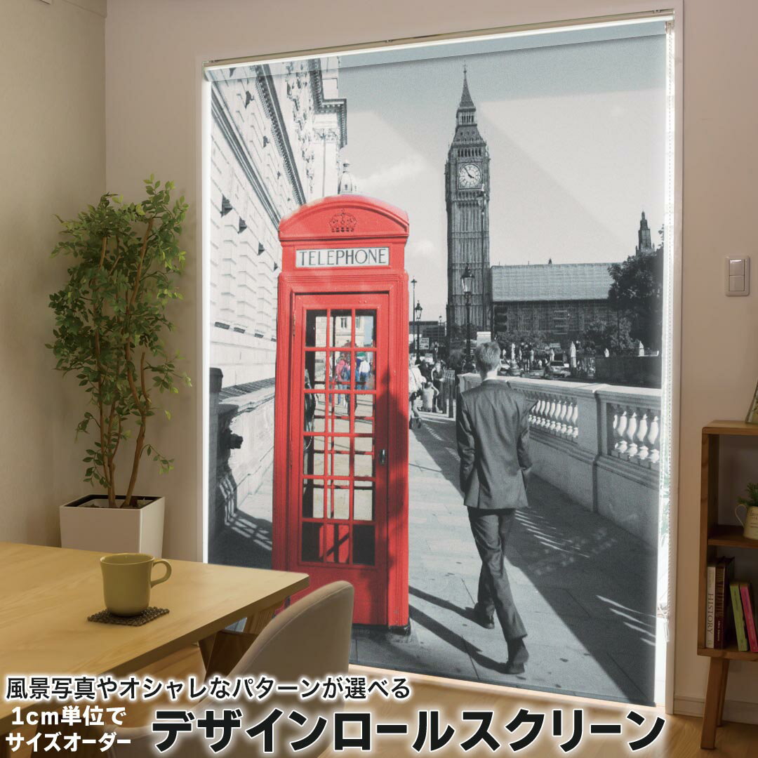 1cm単位サイズオーダー ロールスクリーン ロールカーテン オーダーメイド タチカワ 日本製 間仕切り カーテン 採光 非遮光 目隠し UVカット カーテンレール チェーン式 プル式 000923 写真・風景 風景 街