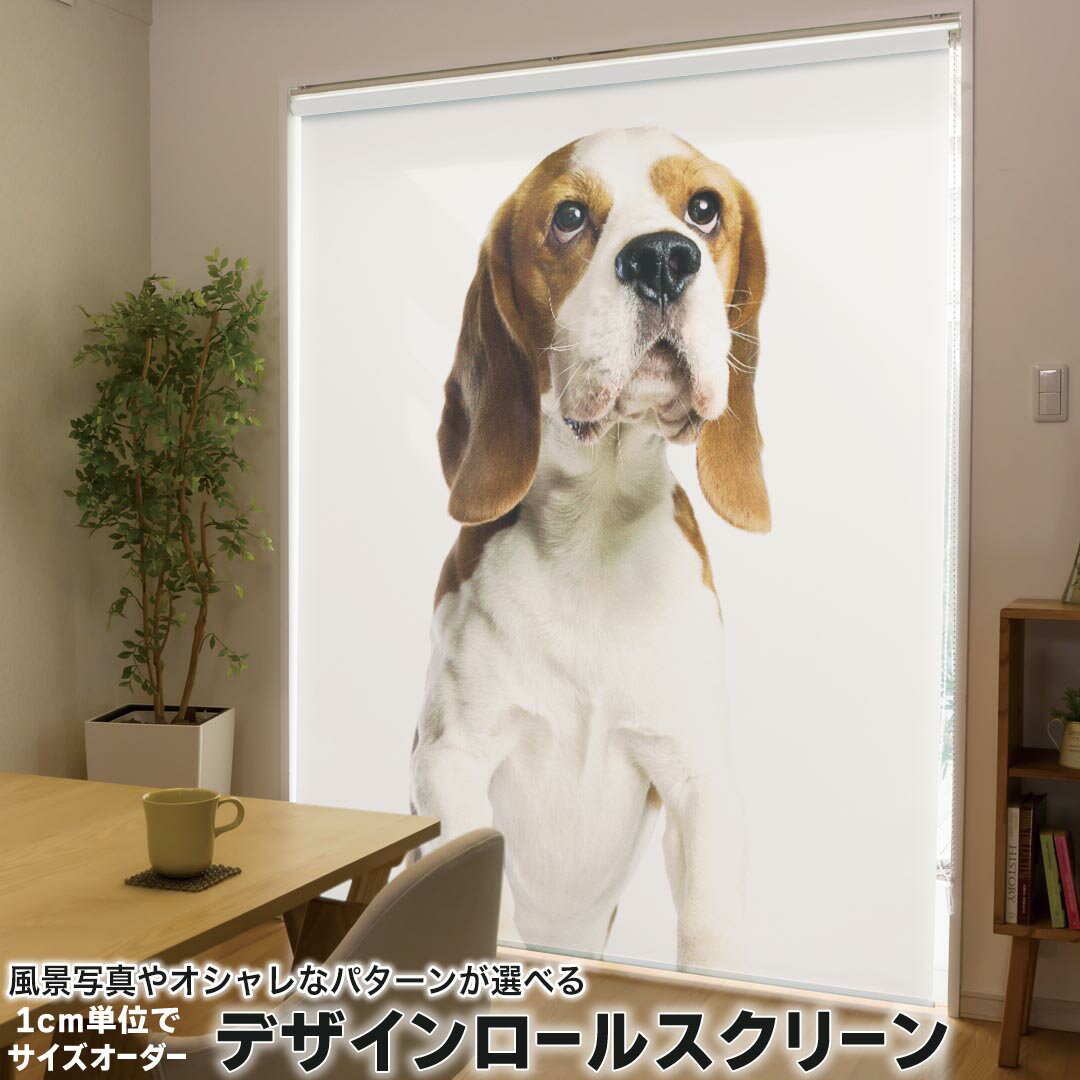 1cm単位サイズオーダー ロールスクリーン ロールカーテン オーダーメイド タチカワ 日本製 間仕切り カーテン 採光 非遮光 目隠し UVカット カーテンレール チェーン式 プル式 001147 アニマル 犬 ビーグル