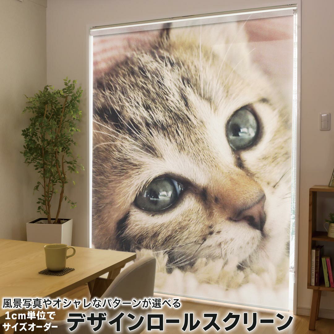 1cm単位サイズオーダー ロールスクリーン ロールカーテン オーダーメイド タチカワ 日本製 間仕切り カ..