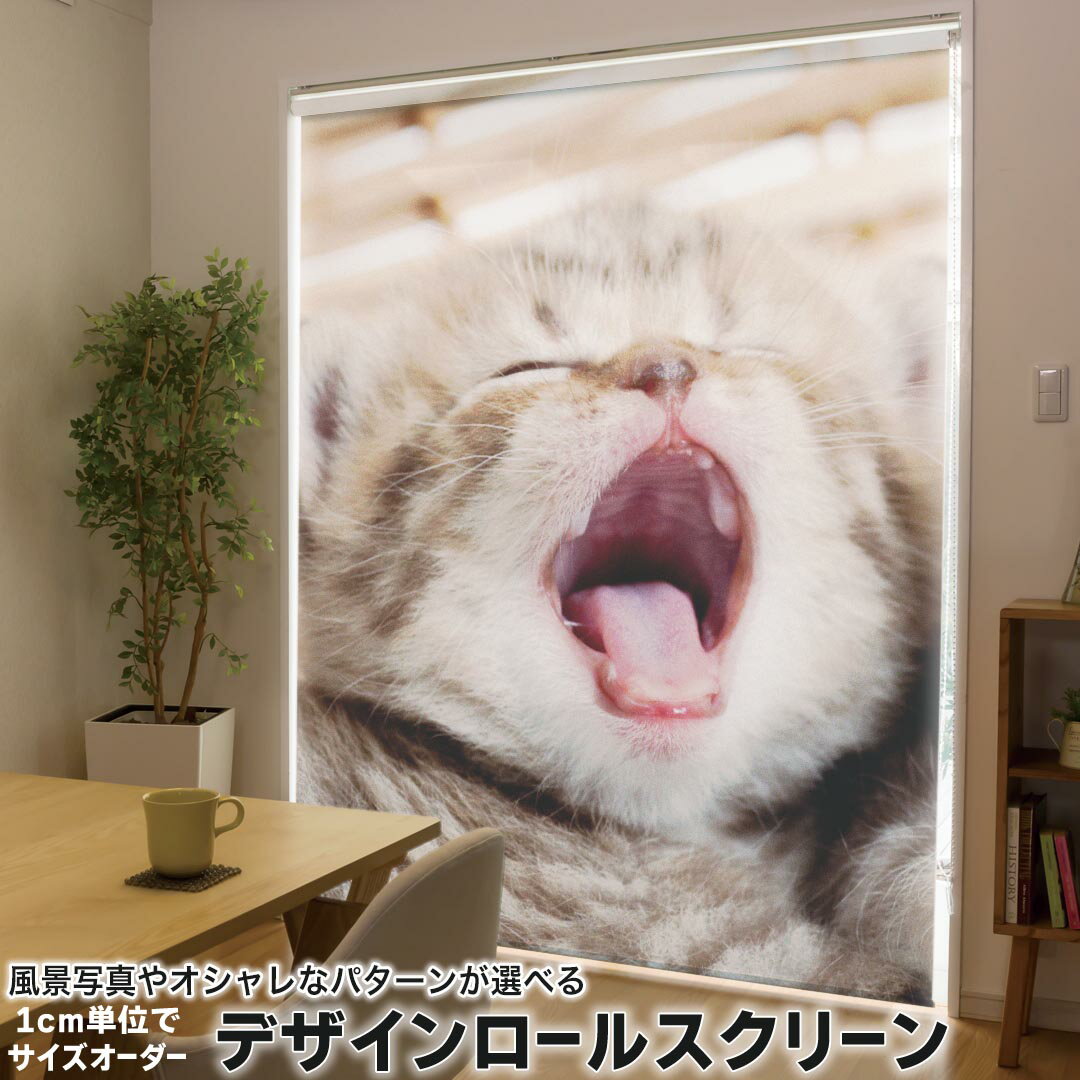 1cm単位サイズオーダー ロールスクリーン ロールカーテン オーダーメイド タチカワ 日本製 間仕切り カ..