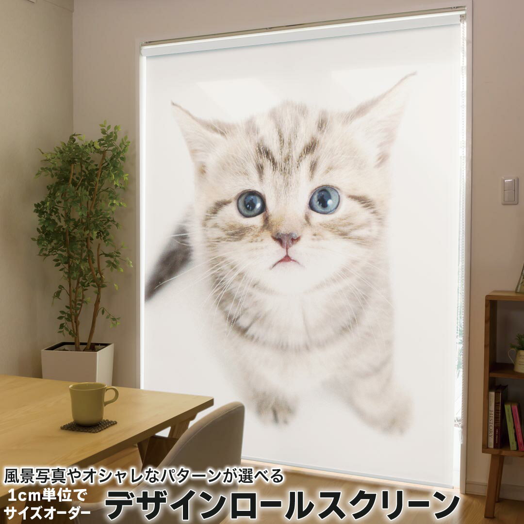 1cm単位サイズオーダー ロールスクリーン ロールカーテン オーダーメイド タチカワ 日本製 間仕切り カ..