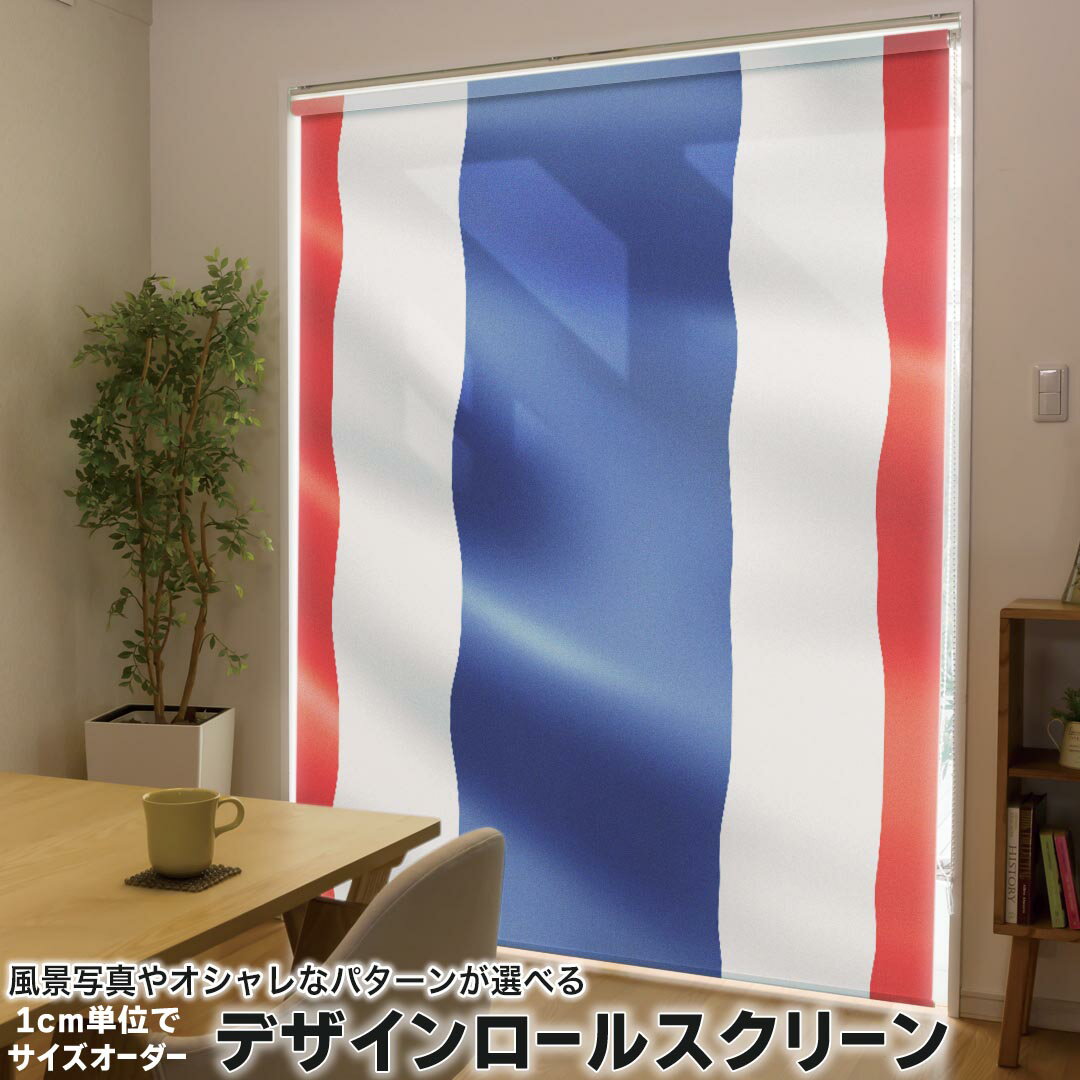 1cm単位サイズオーダー ロールスクリーン ロールカーテン オーダーメイド タチカワ 日本製 間仕切り カ..