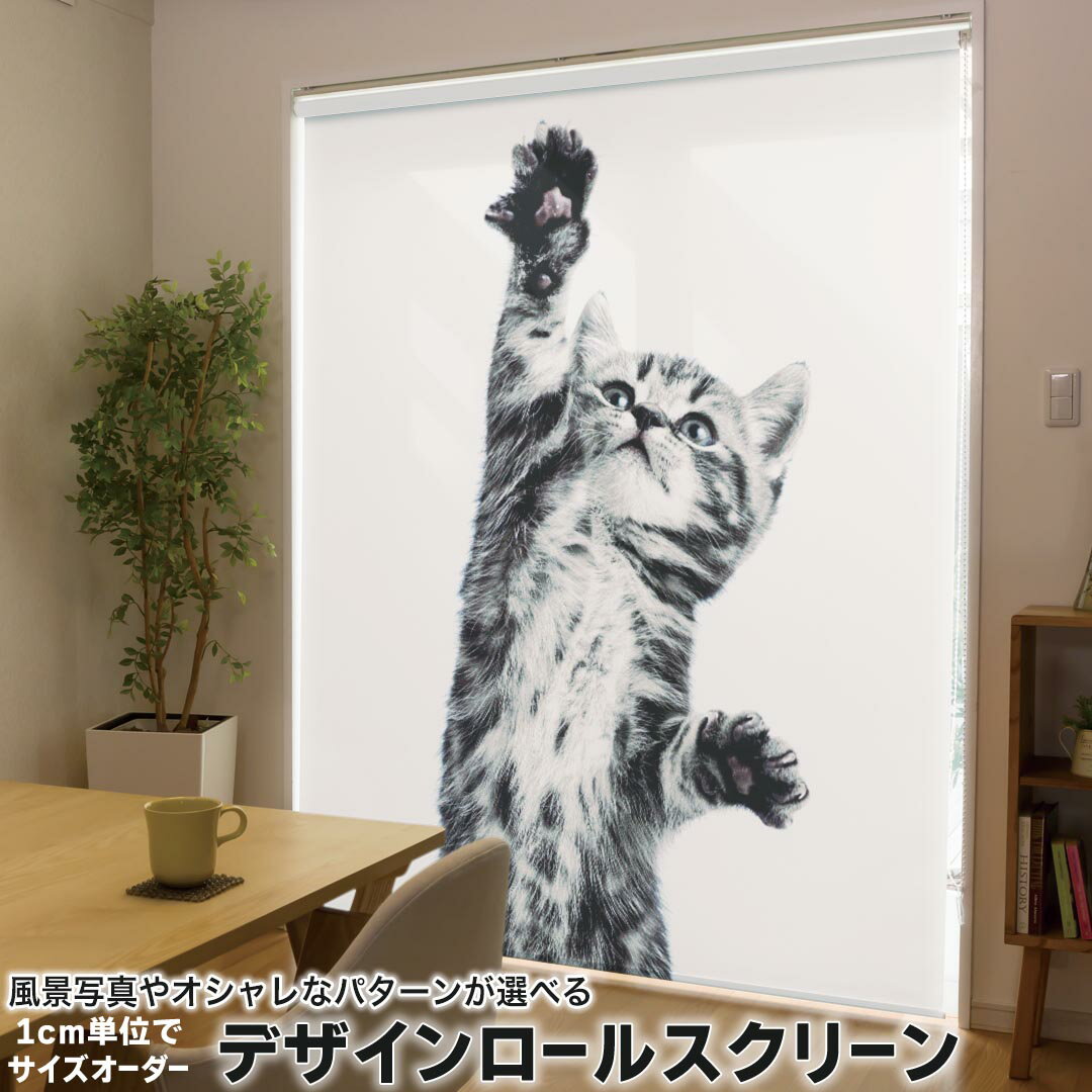 1cm単位サイズオーダー ロールスクリーン ロールカーテン オーダーメイド タチカワ 日本製 間仕切り カ..