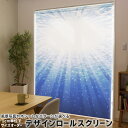1cm単位サイズオーダー ロールスクリーン ロールカーテン オーダーメイド タチカワ 日本製 間仕切り カーテン 採光 非遮光 目隠し UVカット カーテンレール チェーン式 プル式 001261 その他 海 水中 光
