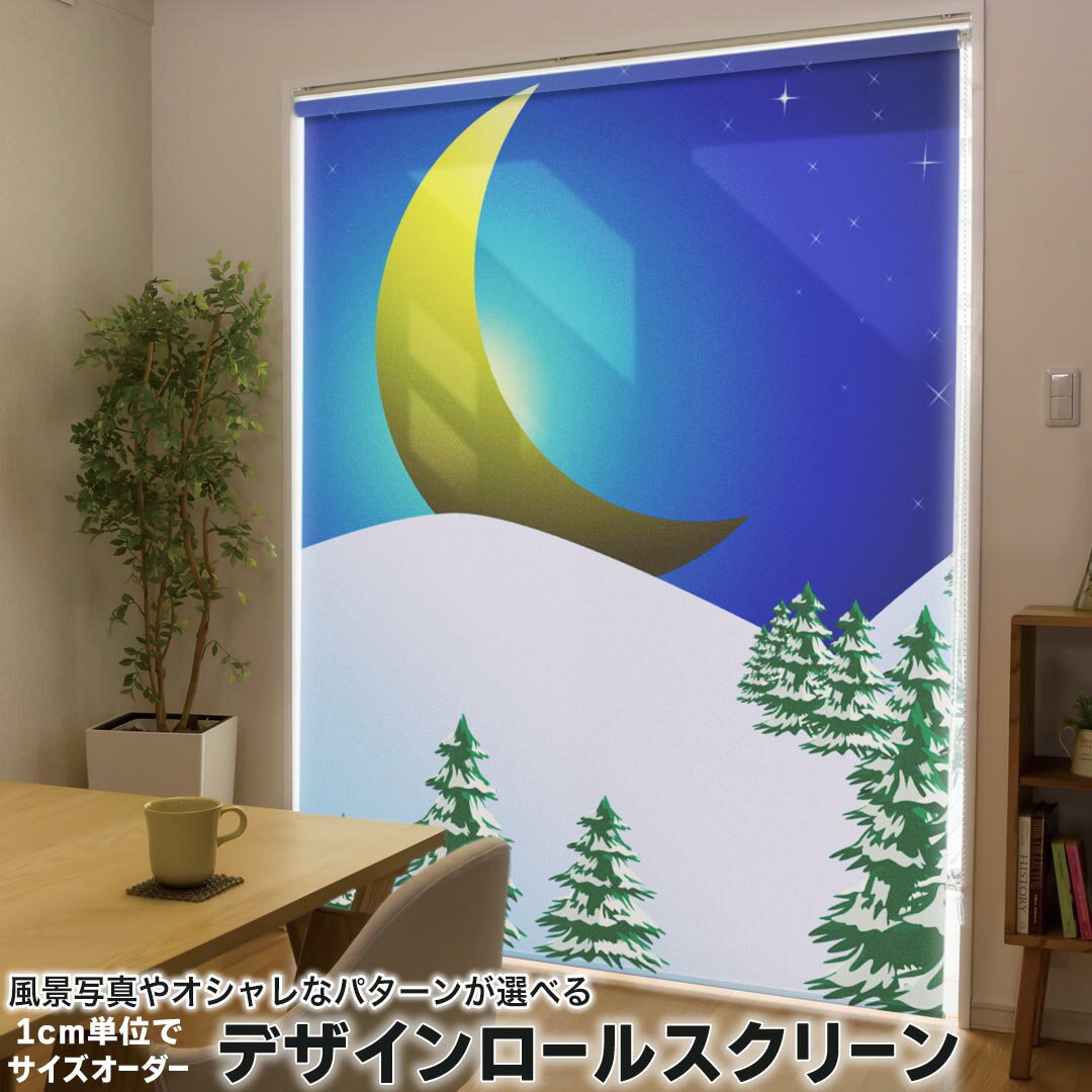 1cm単位サイズオーダー ロールスクリーン ロールカーテン オーダーメイド タチカワ 日本製 間仕切り カーテン 採光 非遮光 目隠し UVカット カーテンレール チェーン式 プル式 001501 その他 雪　冬