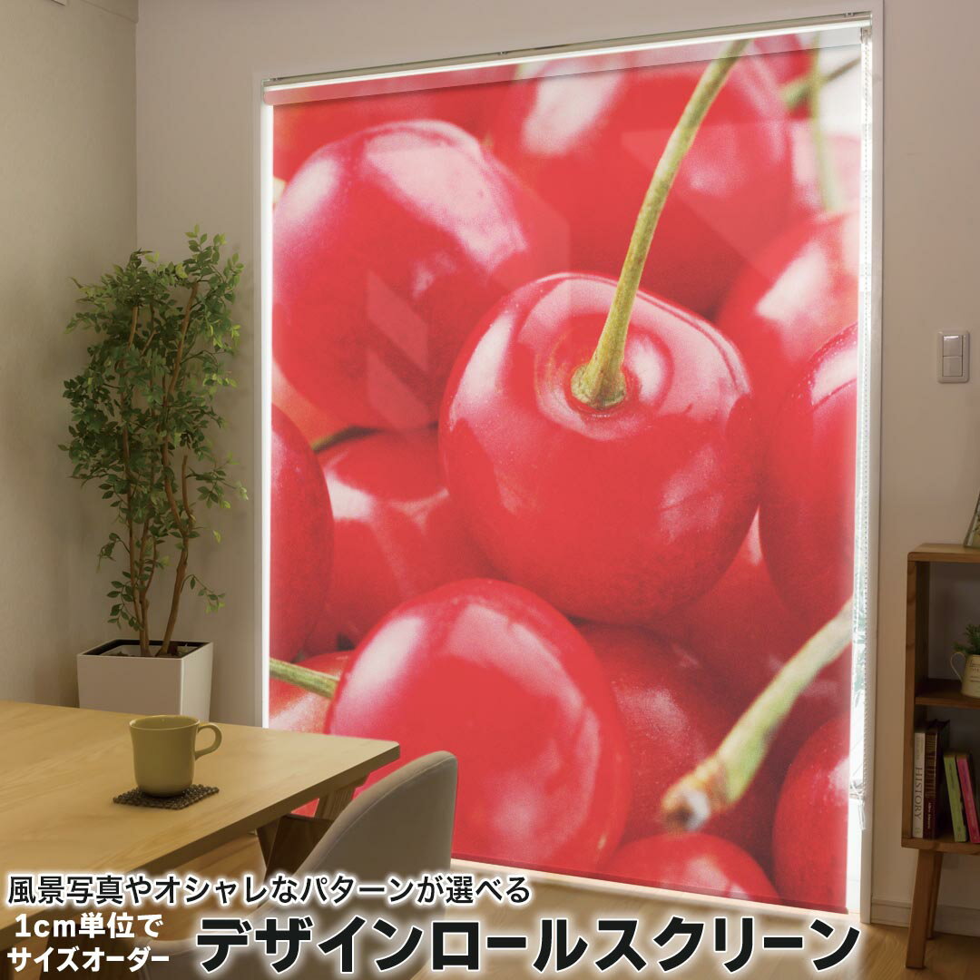 1cm単位サイズオーダー ロールスクリーン ロールカーテン オーダーメイド タチカワ 日本製 間仕切り カ..