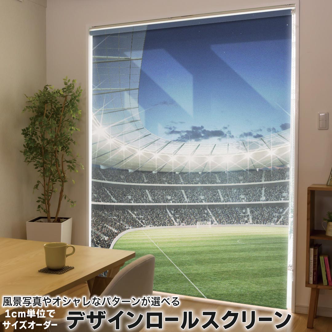 1cm単位サイズオーダー ロールスクリーン ロールカーテン オーダーメイド タチカワ 日本製 間仕切り カーテン 採光 非遮光 目隠し UVカット カーテンレール チェーン式 プル式 001615 スポーツ フィールド スタジアム サッカー